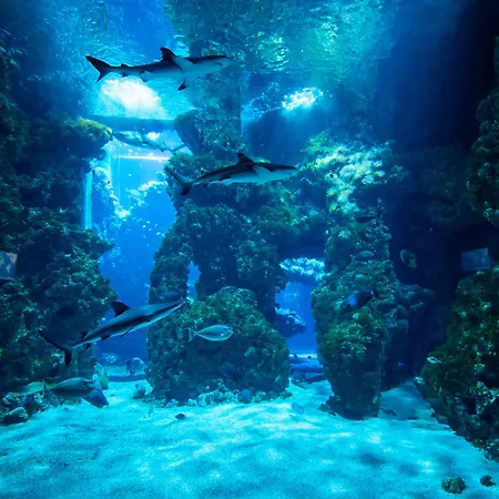 Hotel Metropole Monte-carlo - Guerlain Monte Carlo